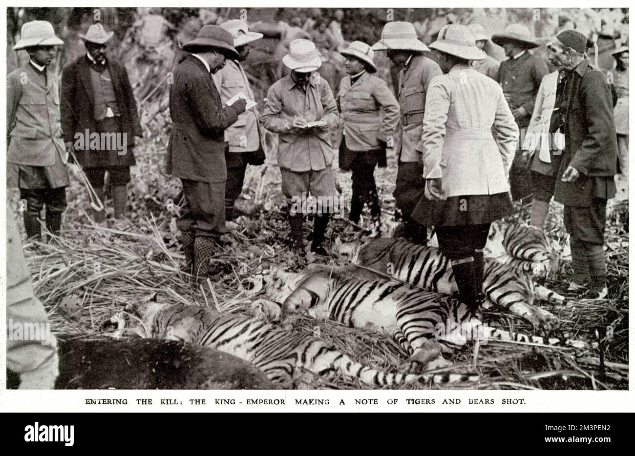 Le roi George V, au Népal, lors d'une grande expédition de tir, montrant le roi George faisant une note des tigres et des ours qu'il a tiré. Date : décembre 1911 Banque D'Images