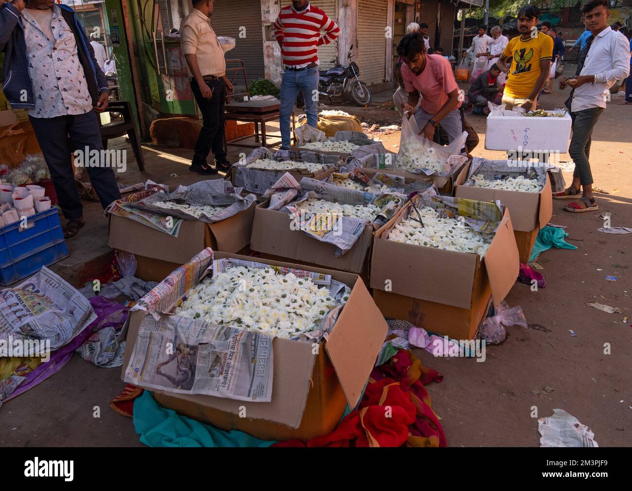 Marché aux fleurs, Rajasthan, Jaipur, Inde Banque D'Images