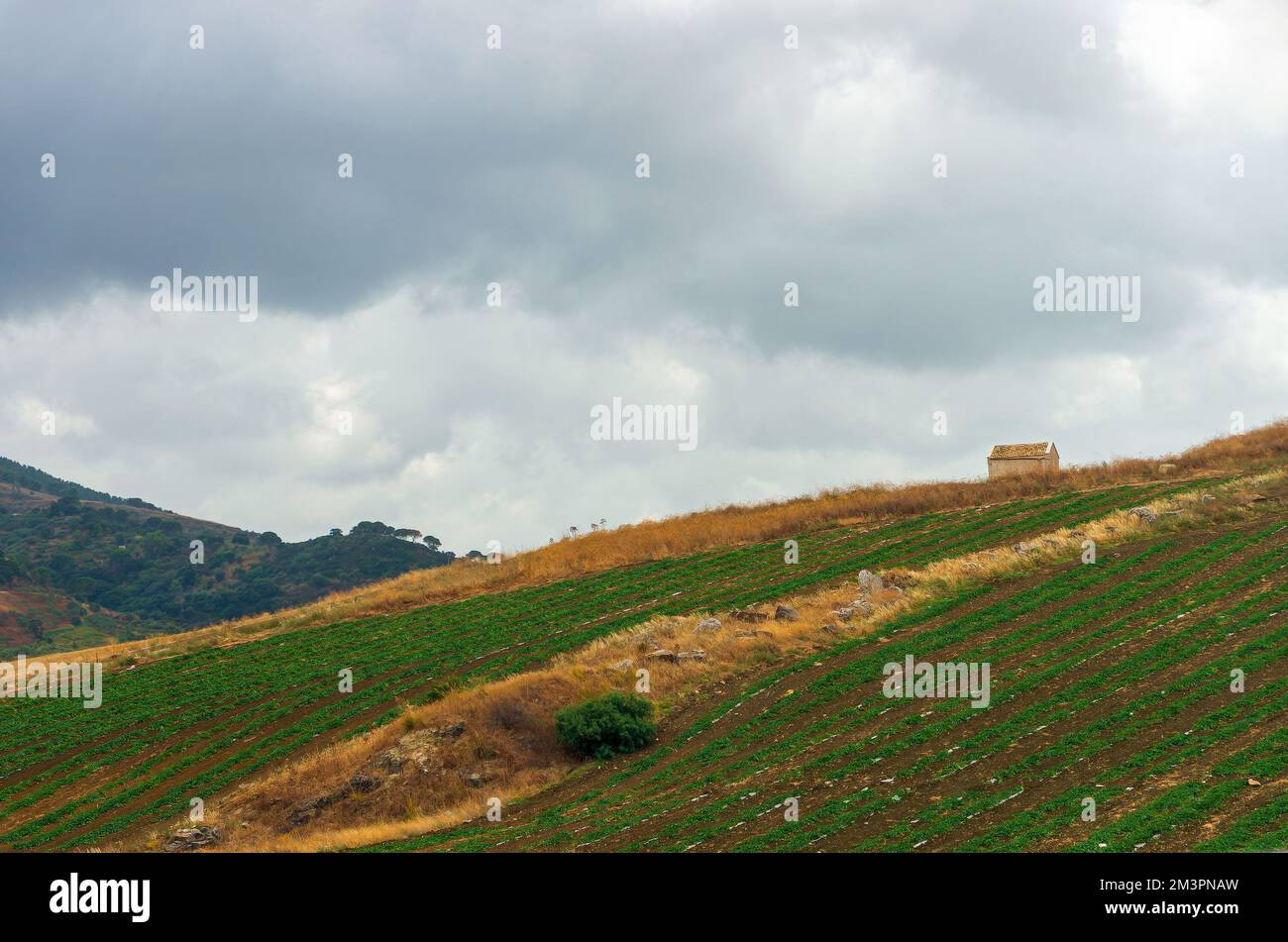 Sicile, Italie. Banque D'Images Sicile, Italie. Banque D'Images