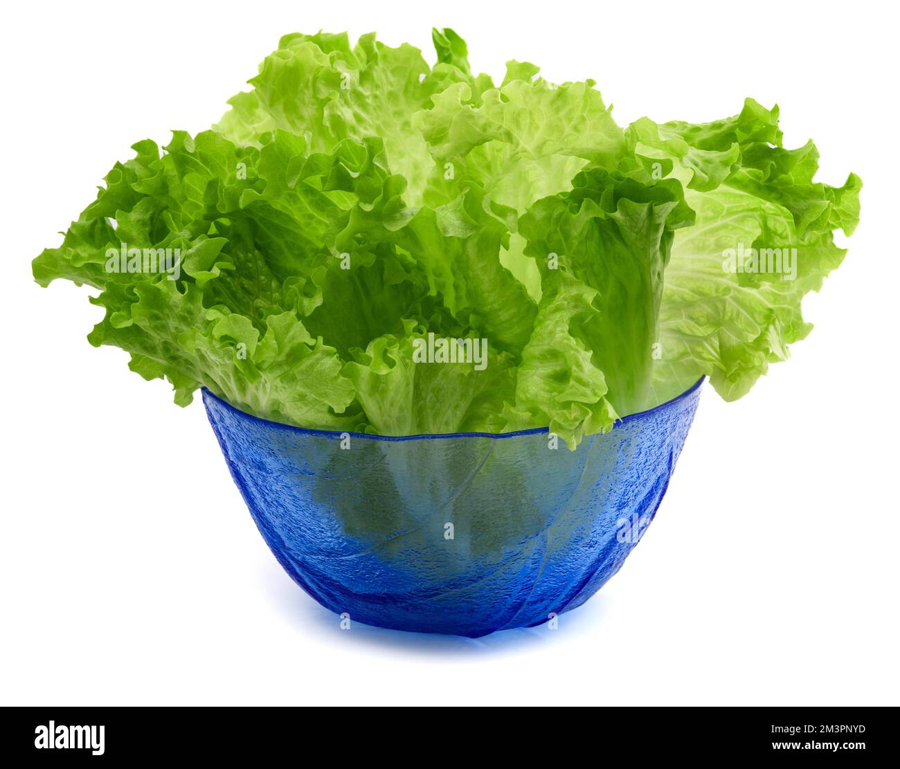 Salade de laitue dans un bol isolé sur fond blanc Banque D'Images