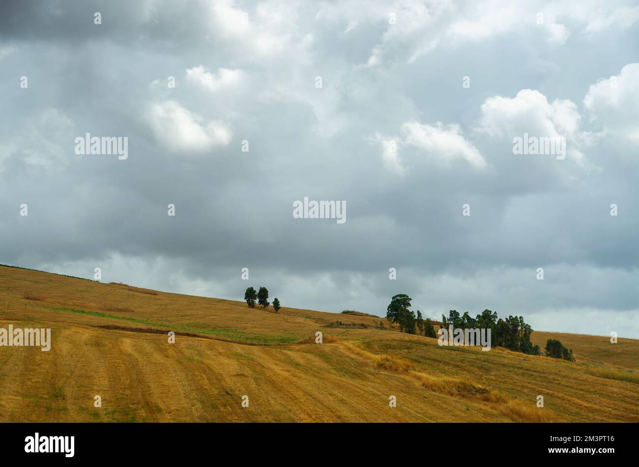 Sicile, Italie. Banque D'Images Sicile, Italie. Banque D'Images