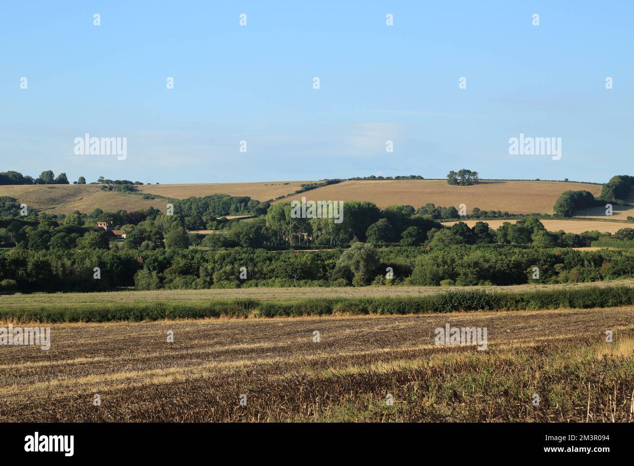Vue sur les Kent Downs de Brabourne Lees pendant la sécheresse de 2022