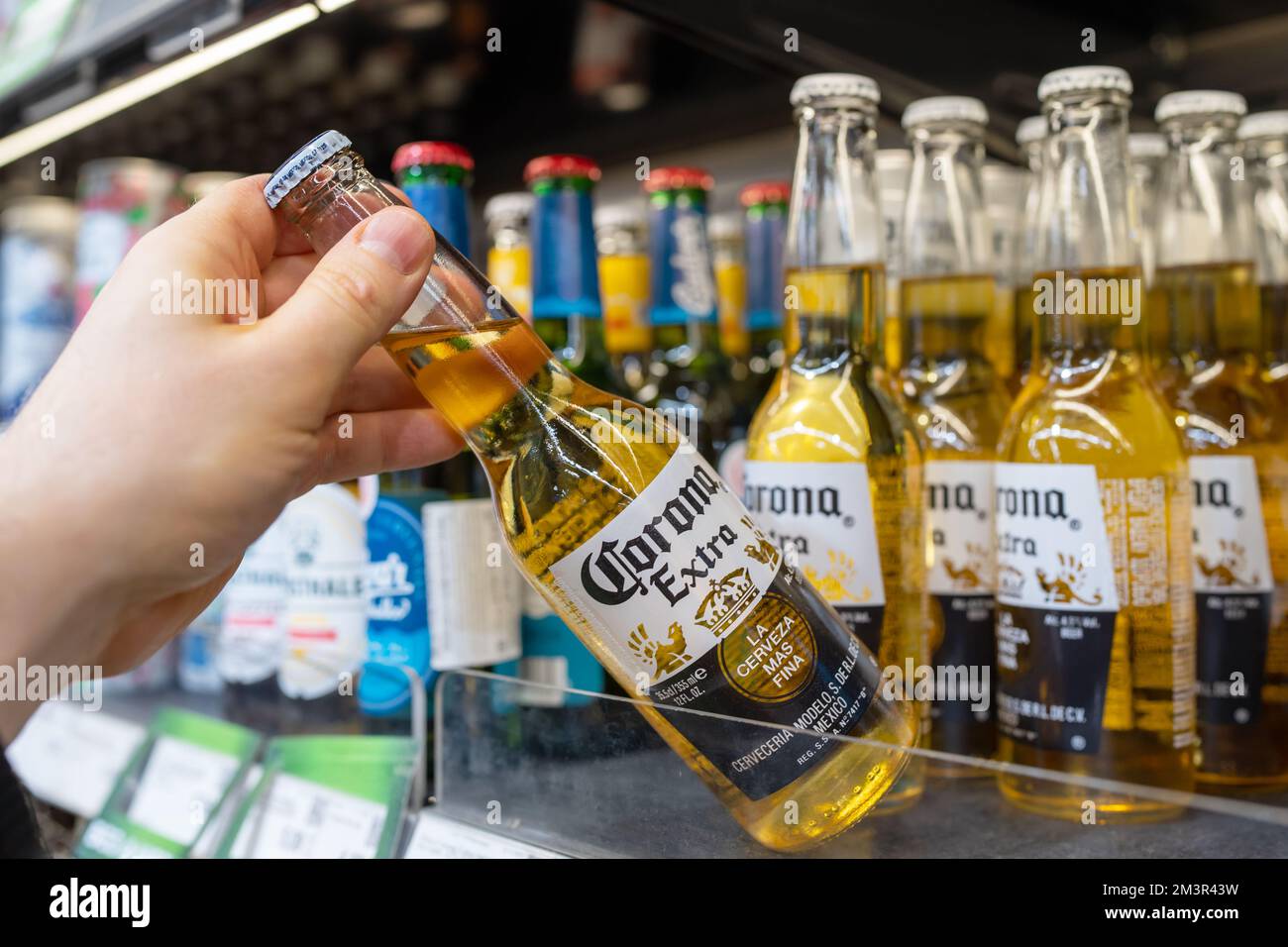 Bouteilles de bière supplémentaires Corona sur les étagères d'un supermarché. L'acheteur prend la bière Corona Extra. Banque D'Images