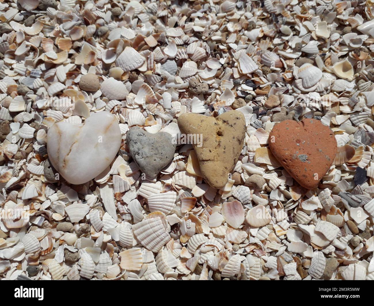 Quatre pierres en forme de cœur se trouvent sur les coquillages de la côte maritime. Gros plan Banque D'Images