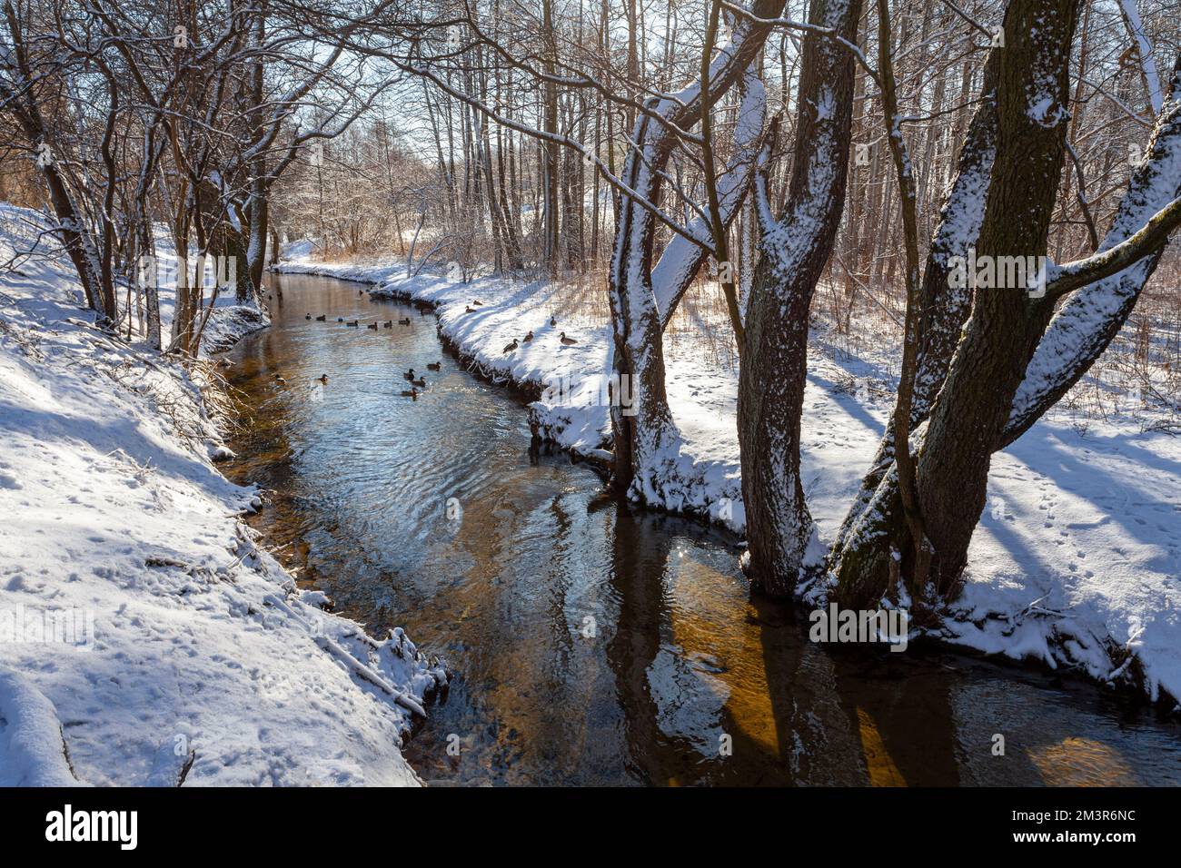 Hiver à Warmia et Masuria, rivière Kortowka, Pologne Banque D'Images