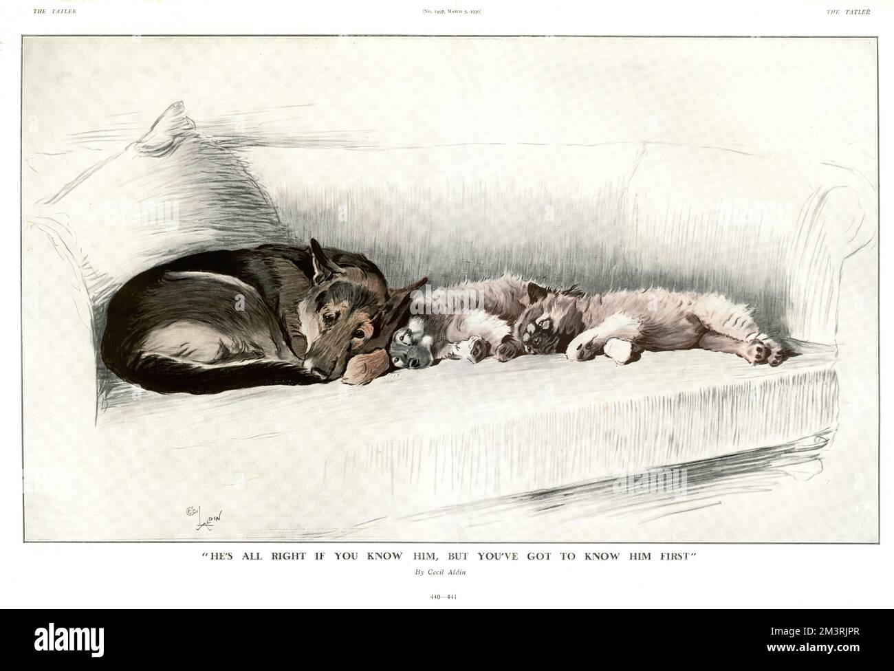 "Il va bien si vous le connaissez, mais vous devez le connaître d'abord." Un groupe de chiens se blottissez ensemble sur un canapé. 1930 Banque D'Images