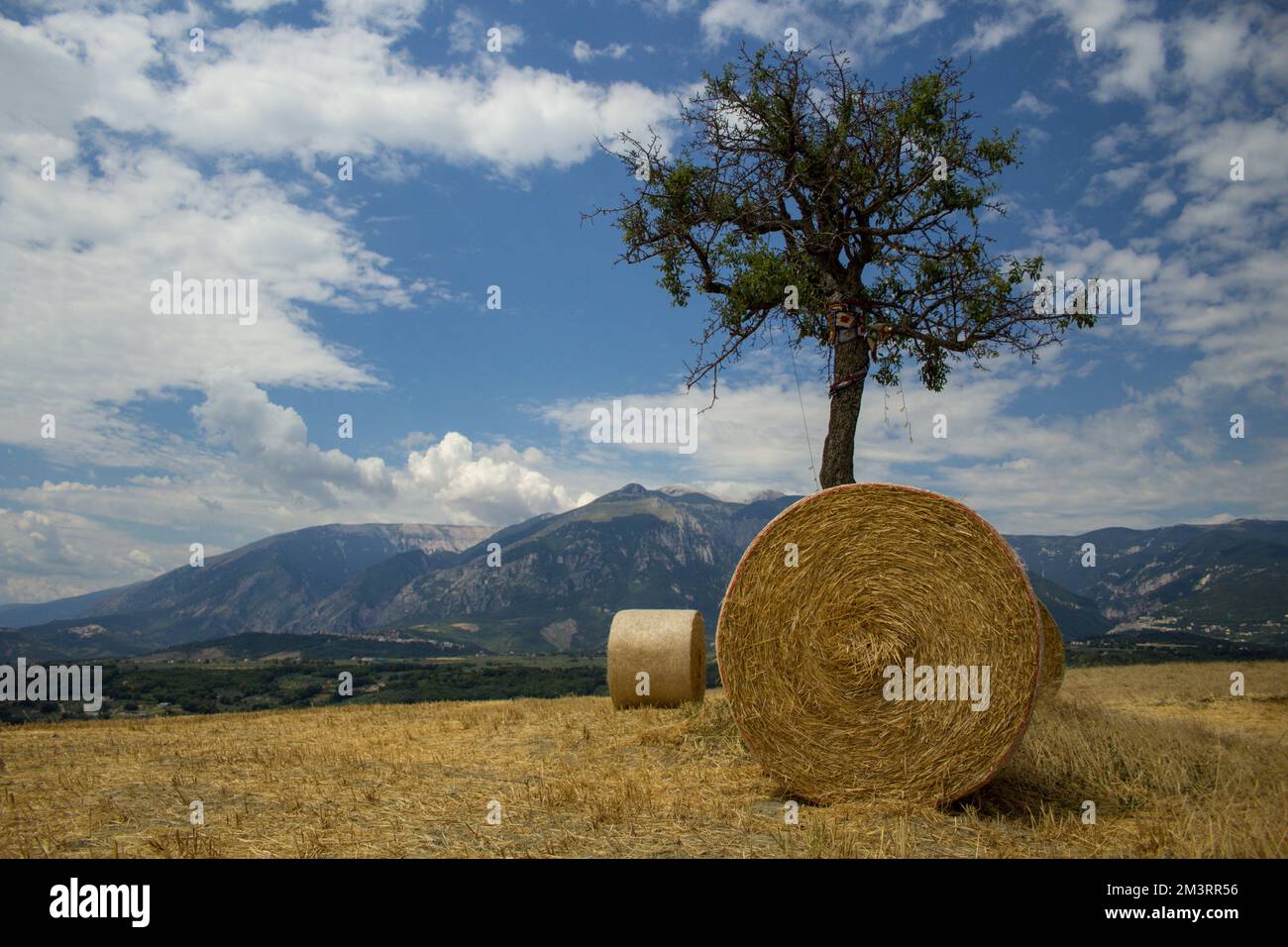 Image de rouleaux de balles de paille devant un arbre isolé avec la montagne Majella en arrière-plan et le ciel bleu avec des nuages épars. Banque D'Images