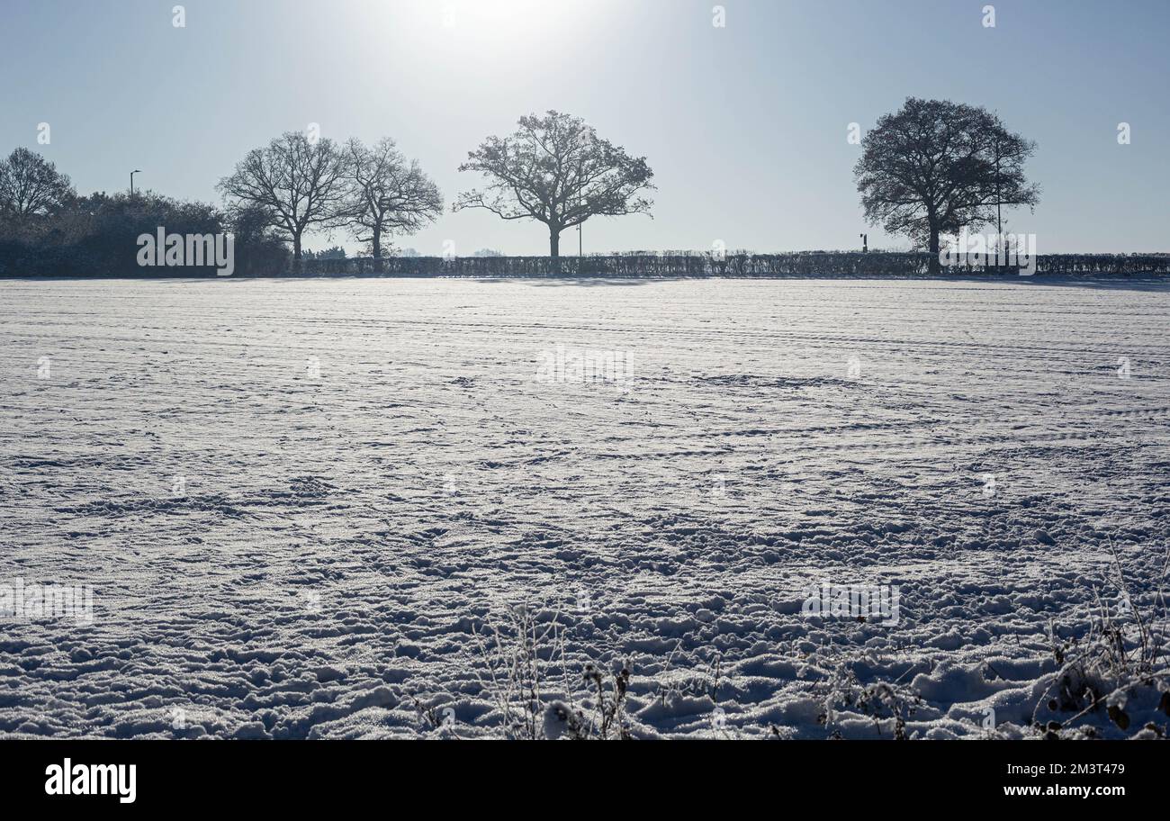 Hatfield, Hertfordshire, Angleterre, Royaume-Uni. Banque D'Images