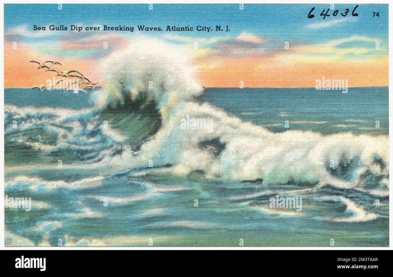 Les goélands de mer plongé au-dessus des vagues de rupture, Atlantic City, N. J. , Beaches, Tichnor Brothers Collection, Cartes postales des États-Unis Banque D'Images