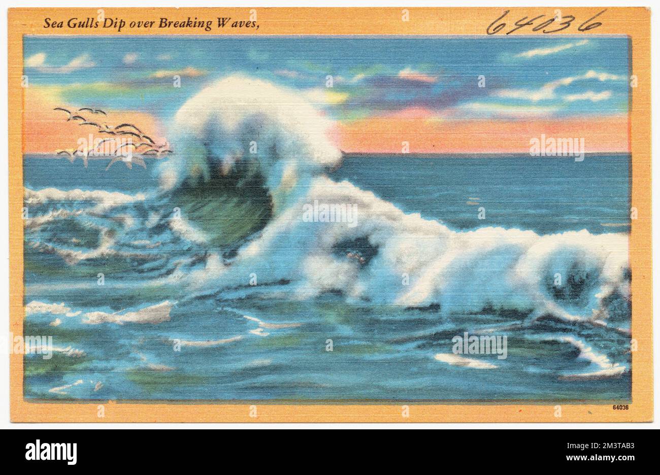 Les goélands de mer baignent au-dessus des vagues de rupture, , Mers, Tichnor Brothers Collection, cartes postales des États-Unis Banque D'Images