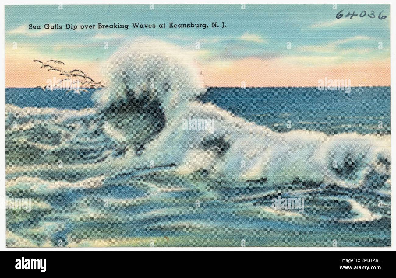 Les goélands de mer se baignent au-dessus des vagues qui se brisent à Keansburg, N.J. , Seas, Tichnor Brothers Collection, cartes postales des États-Unis Banque D'Images