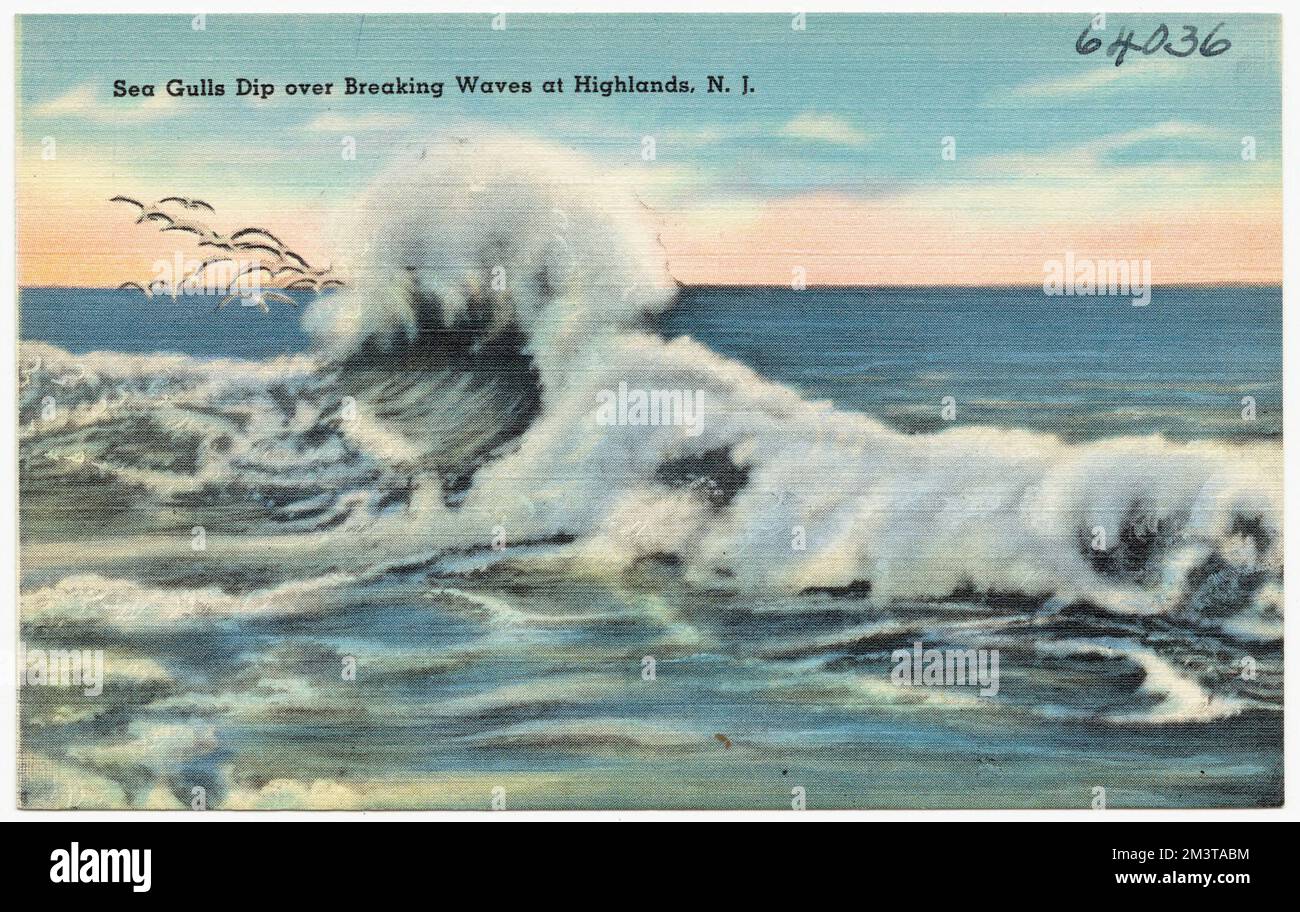 Les mouettes de mer plongeent au-dessus des vagues déferlantes à Highlands, N.J. , Seas, Boats, Tichnor Brothers Collection, cartes postales des États-Unis Banque D'Images