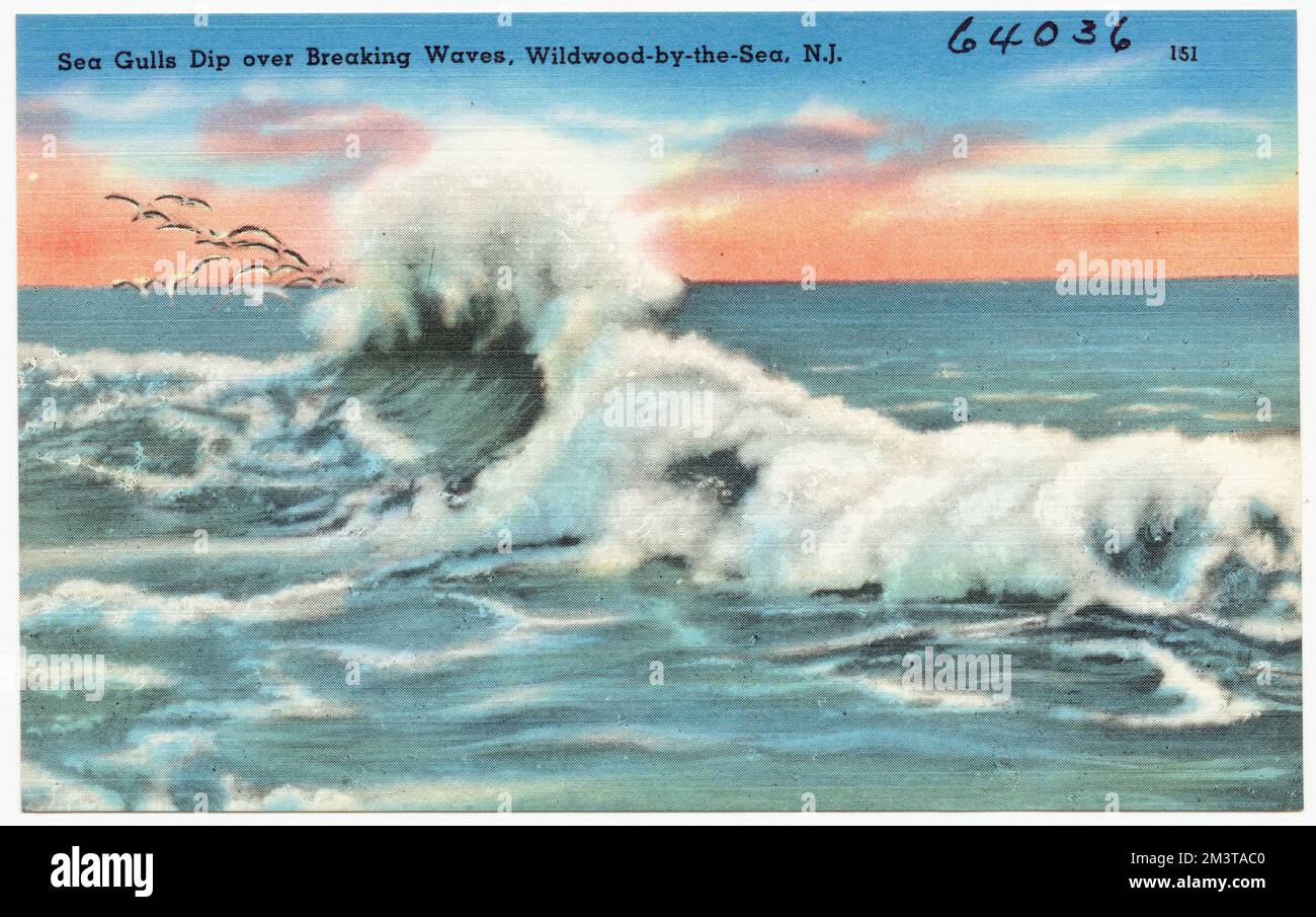 Les goélands de la mer se baignent au-dessus de vagues déferlantes, Wildwood-by-the-Sea, N. J. , Seas, Tichnor Brothers Collection, Cartes postales des États-Unis Banque D'Images