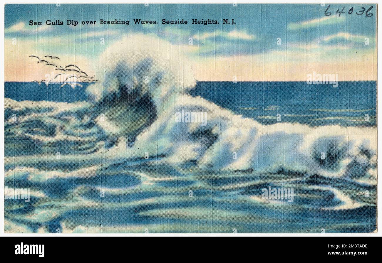 Les goélands de mer se baignent au-dessus des vagues de rupture, Seaside Heights, N. J. , Seas, Tichnor Brothers Collection, Cartes postales des États-Unis Banque D'Images