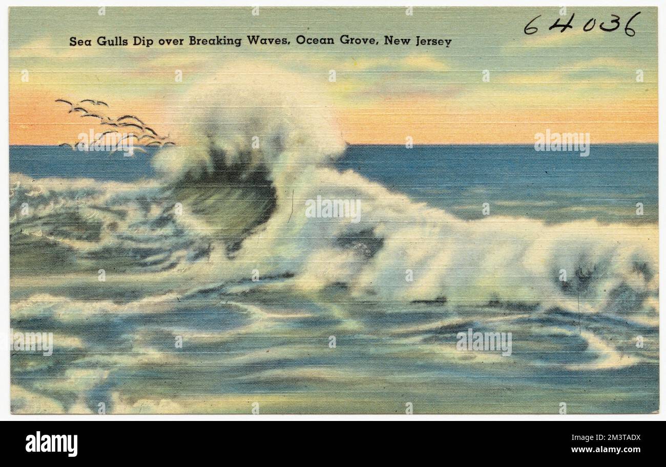 Les goélands de la mer se baignent au-dessus des vagues de rupture, Ocean Grove, New Jersey , Seas, Tichnor Brothers Collection, Cartes postales des États-Unis Banque D'Images