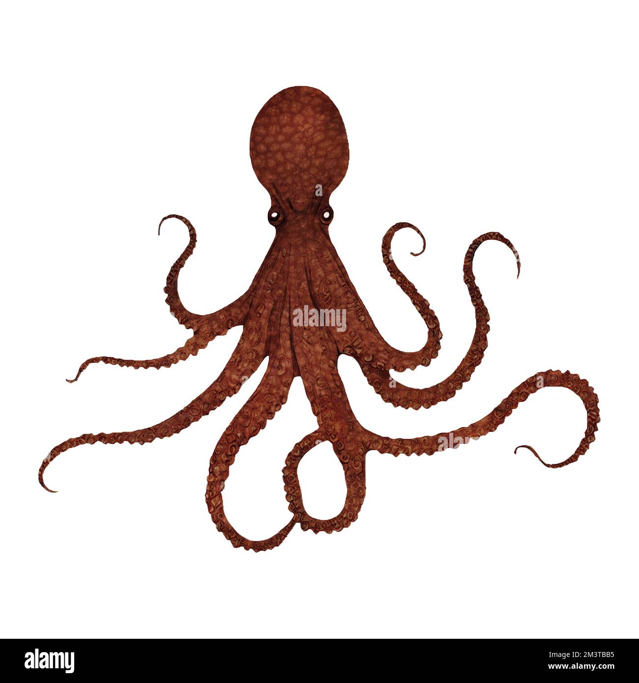Mystérieux Octopus Digital Art by Winters860 arrière-plan isolé et transparent Banque D'Images