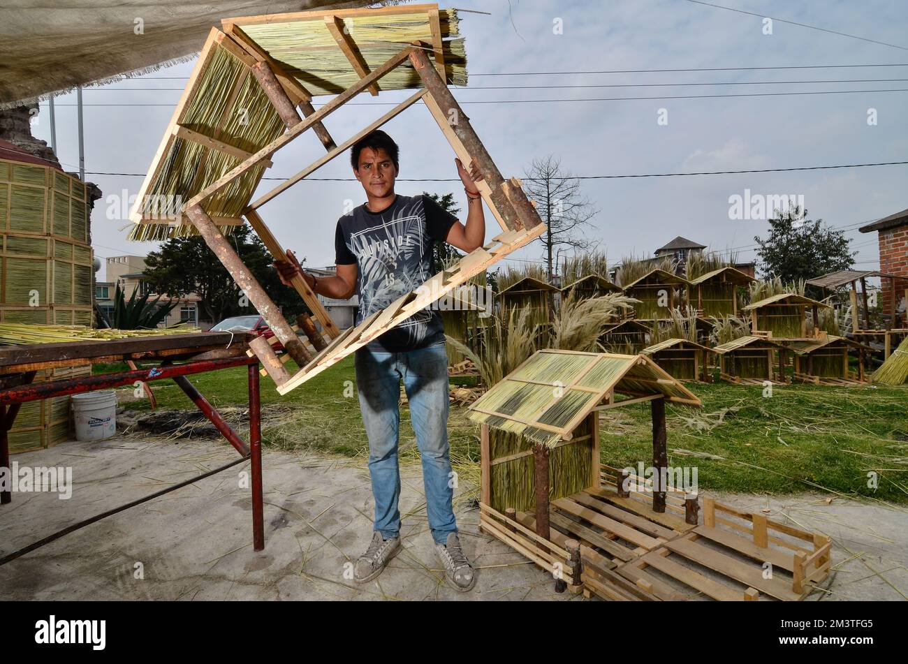 16 décembre à Toluca, Mexique : la famille Gomez est originaire d'une communauté Otomi appartenant à San Pablo Autopan à Toluca, Etat du Mexique, pendant 28 ans cette saison de Noël, ils sont dédiés à la fabrication de Nativités de Noël faites à la main. Pour les faire, ils utilisent différents types de bois et différents types d'herbe, matière première recueillie sur le terrain. Sur 16 décembre à Toluca, México. (Credit image: © Arturo Hernandez/eyepix via ZUMA Press Wire) Banque D'Images