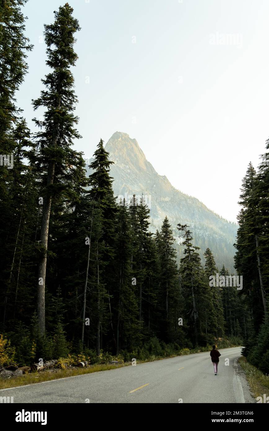 Une femme marche son chat dans les bras sur une vieille route forestière sous des arbres massifs et de grands sommets de montagne Banque D'Images