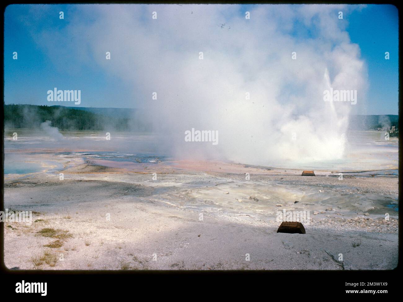 Spasm Geyser, parc national de Yellowstone, Wyoming, geysers. Collection Edmund L. Mitchell Banque D'Images