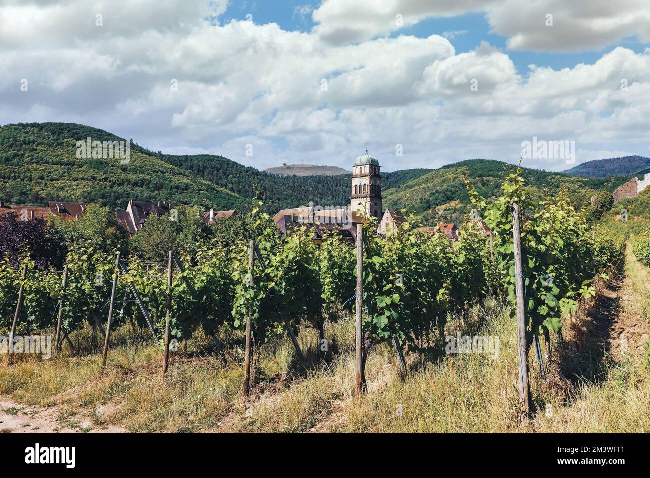 Vue panoramique sur la ville de Kaysersberg en France Banque D'Images