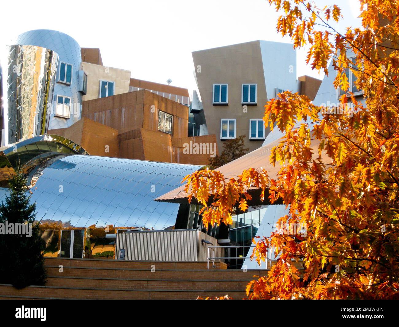 Fall Folage and Ray and Maria Stata Center sur le campus du Massachusetts Institute of Technology (MIT), Cambridge, Massachusetts ma, États-Unis. Banque D'Images