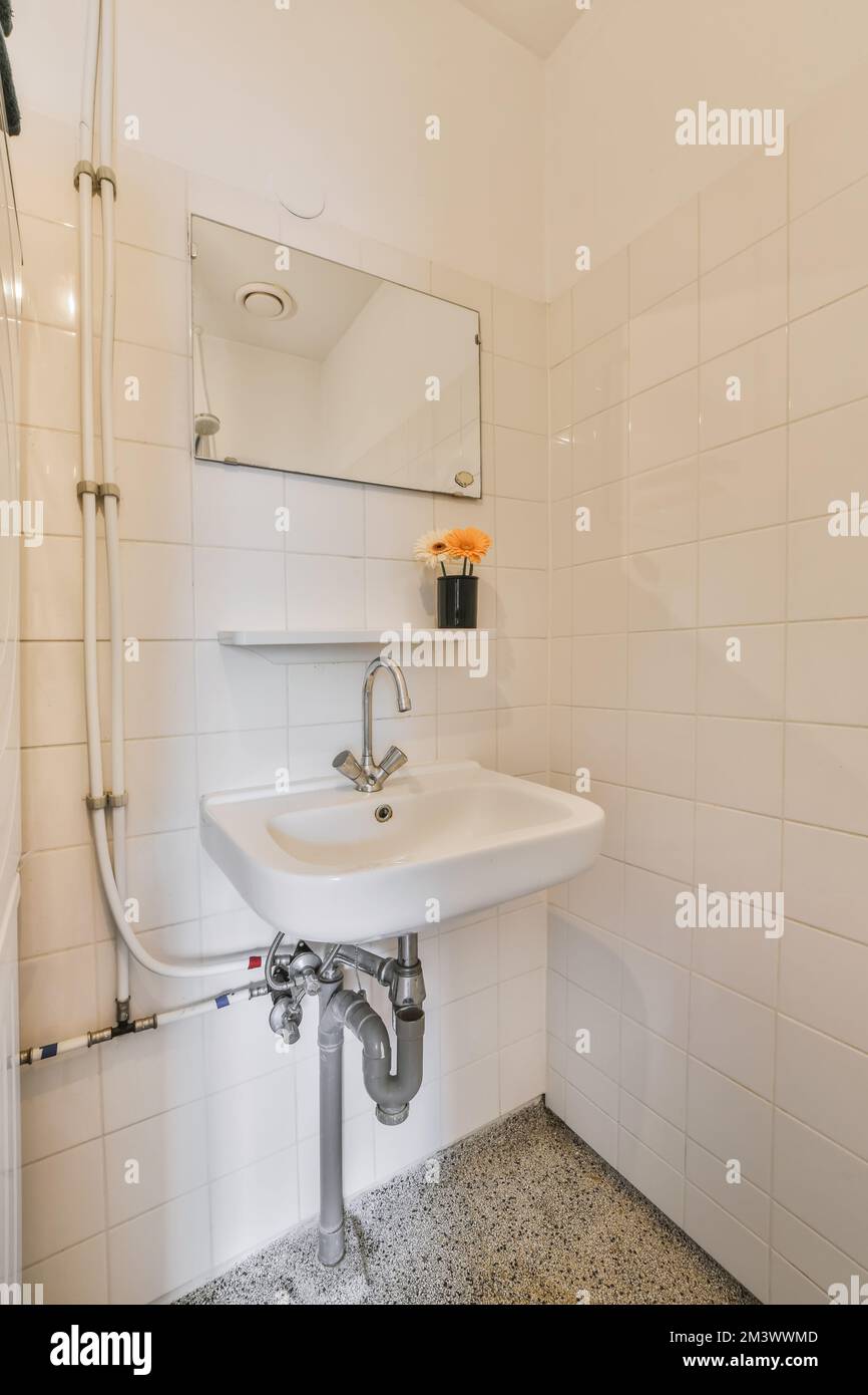 salle de bains blanche avec carrelage en mosaïque noir et blanc au sol, lavabo et miroir dans la cabine de douche Banque D'Images