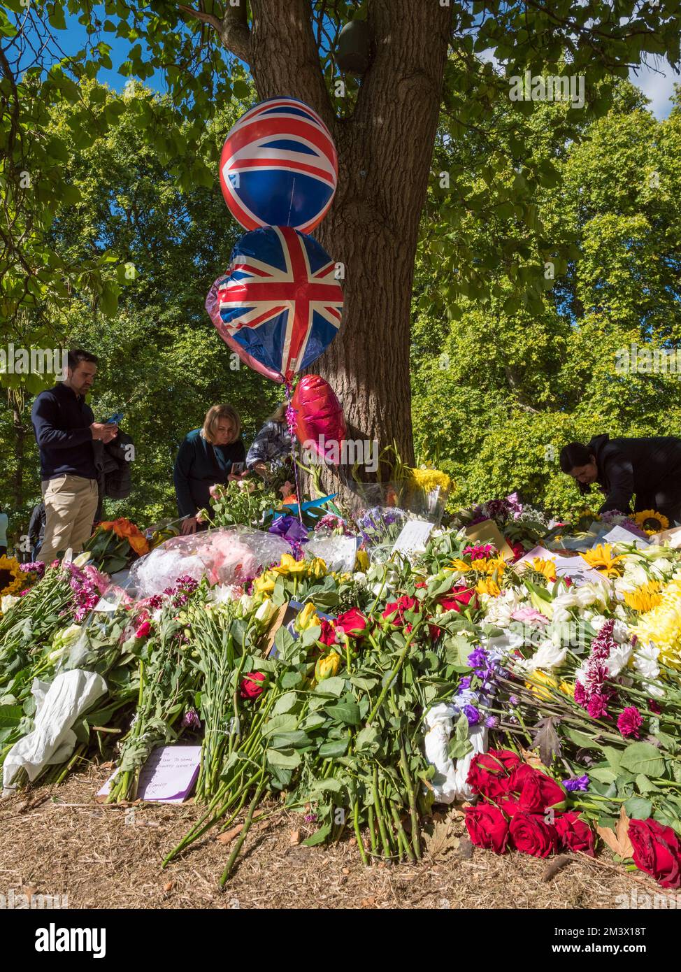 Fleurs sous un arbre après la mort de la reine Elizabeth II, Green Park, Londres, Royaume-Uni. Banque D'Images