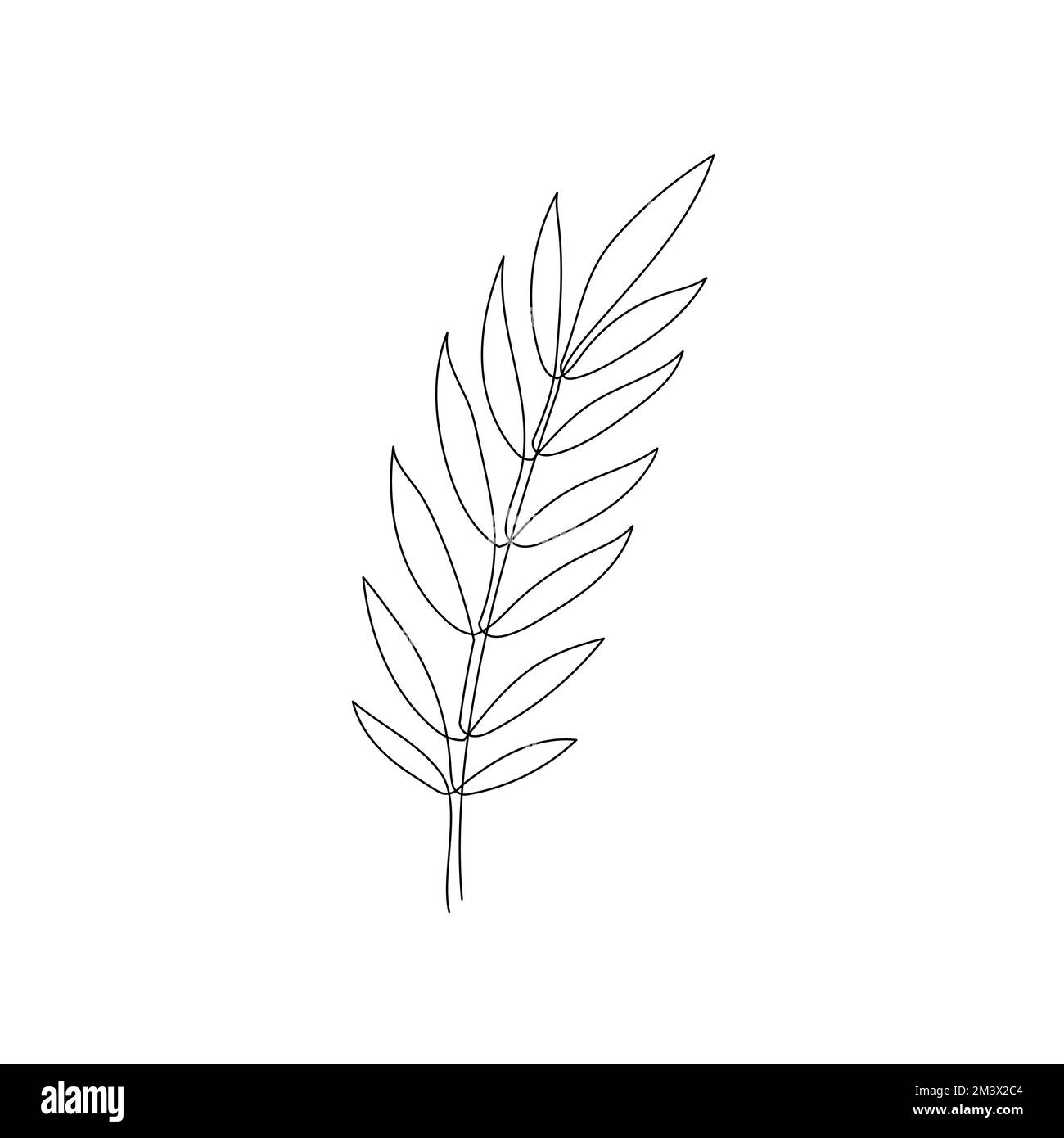 Branche de feuilles de Laurier Line Bay art Un dessin de feuilles de Laurier décoratif de Laurier de baie en ligne continue. Contour modifiable d'un seul élément de branchement. Illustration vectorielle isolée Illustration de Vecteur