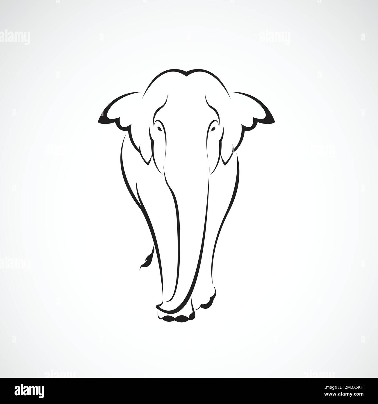 Vecteur d'un motif éléphant sur fond blanc. Animaux sauvages. Logo ou icône éléphant. Illustration vectorielle superposée facile à modifier. Illustration de Vecteur