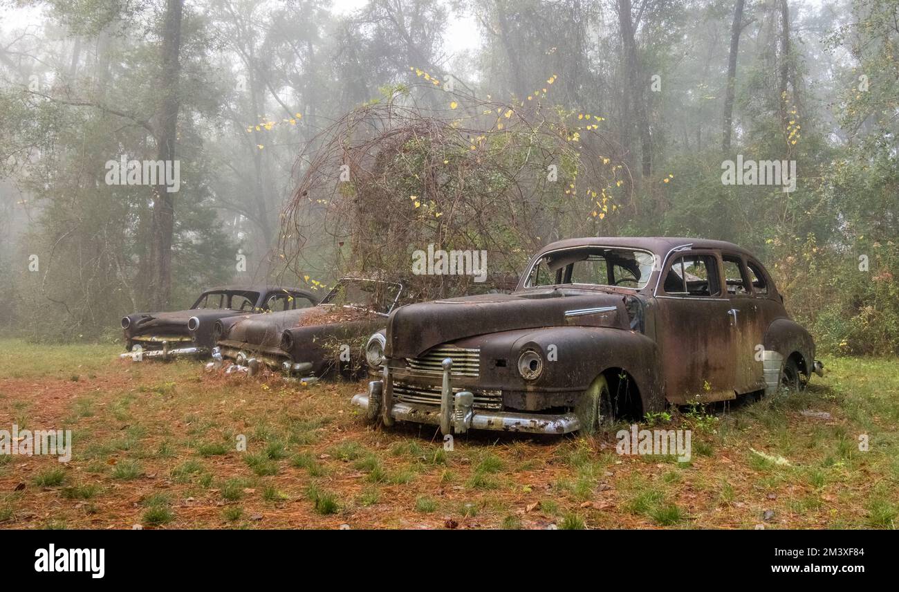 Vieilles voitures et camions abandonnés rouillés lors d'une journée de brouillard à Crawfordville, en Floride Banque D'Images