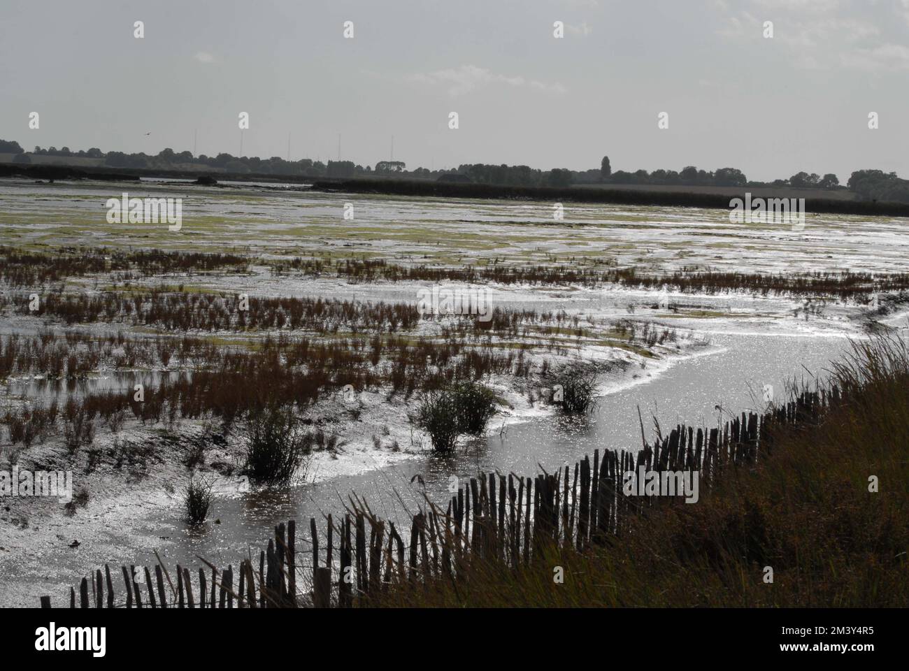 Soleil argenté sur les vasières et la végétation, dans les marais de Hazelwood, sur l'estuaire de l'ADLE et de l'Ore, Suffolk, 2nd octobre 2022. Banque D'Images