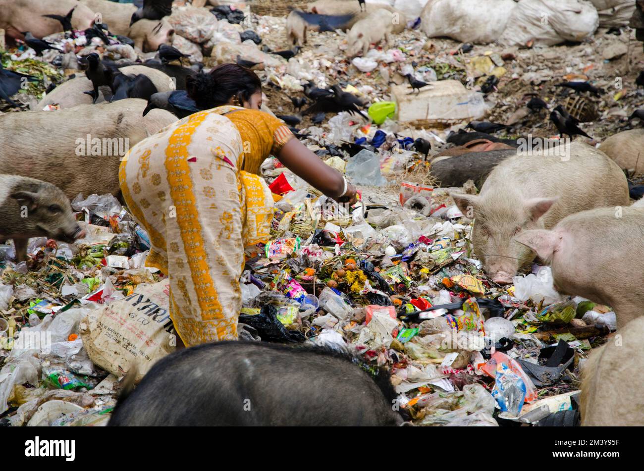 Les déchets sont un énorme problème dans la population surpeuplée de Kolkata. Une petite caste qui tri les pièces recyclables Banque D'Images
