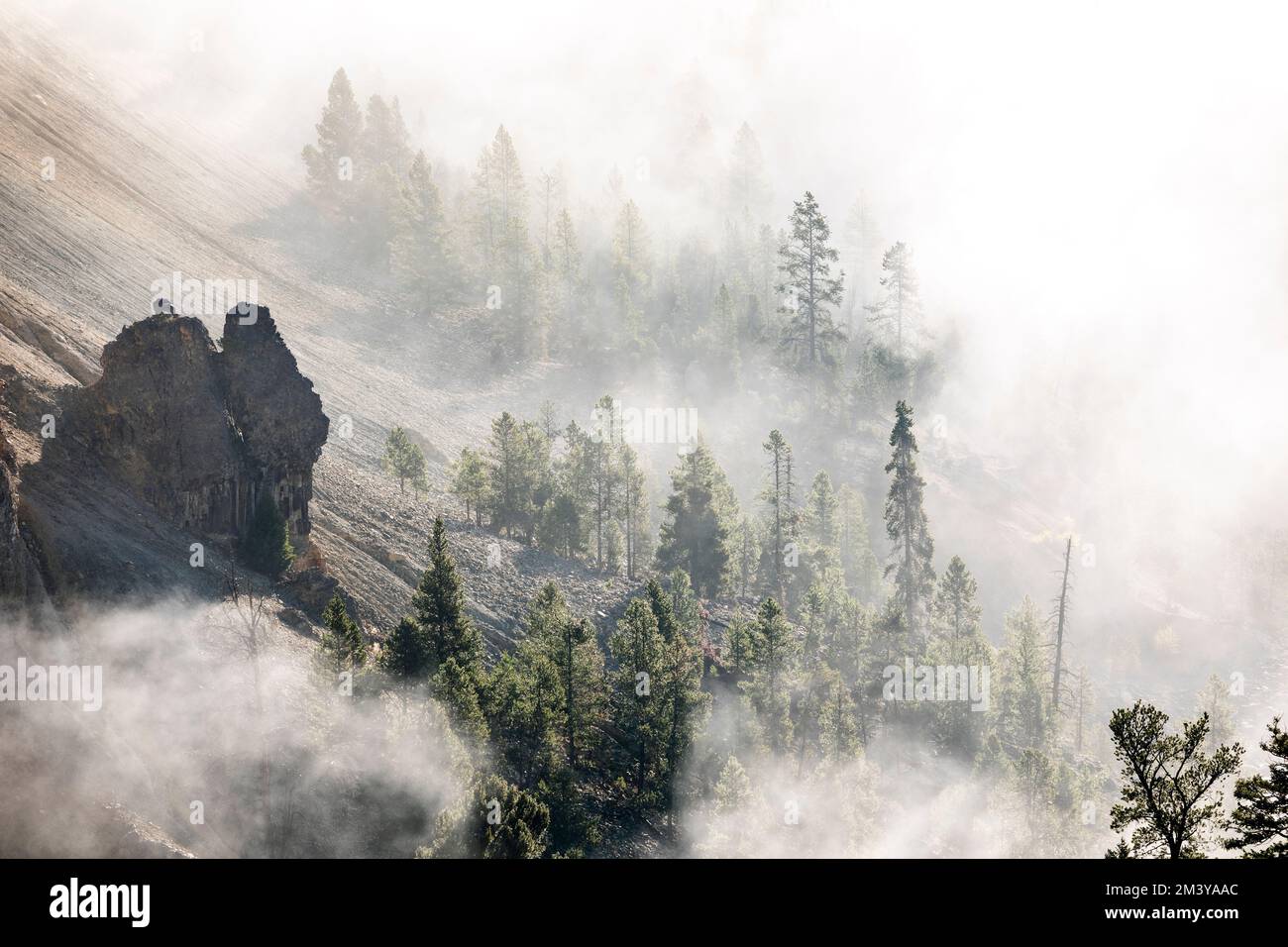 WY05183-00....WYOMING - brouillard dans la vallée de la rivière Yellowstone près de Tower Falls. Parc national de Yellowstone. Banque D'Images