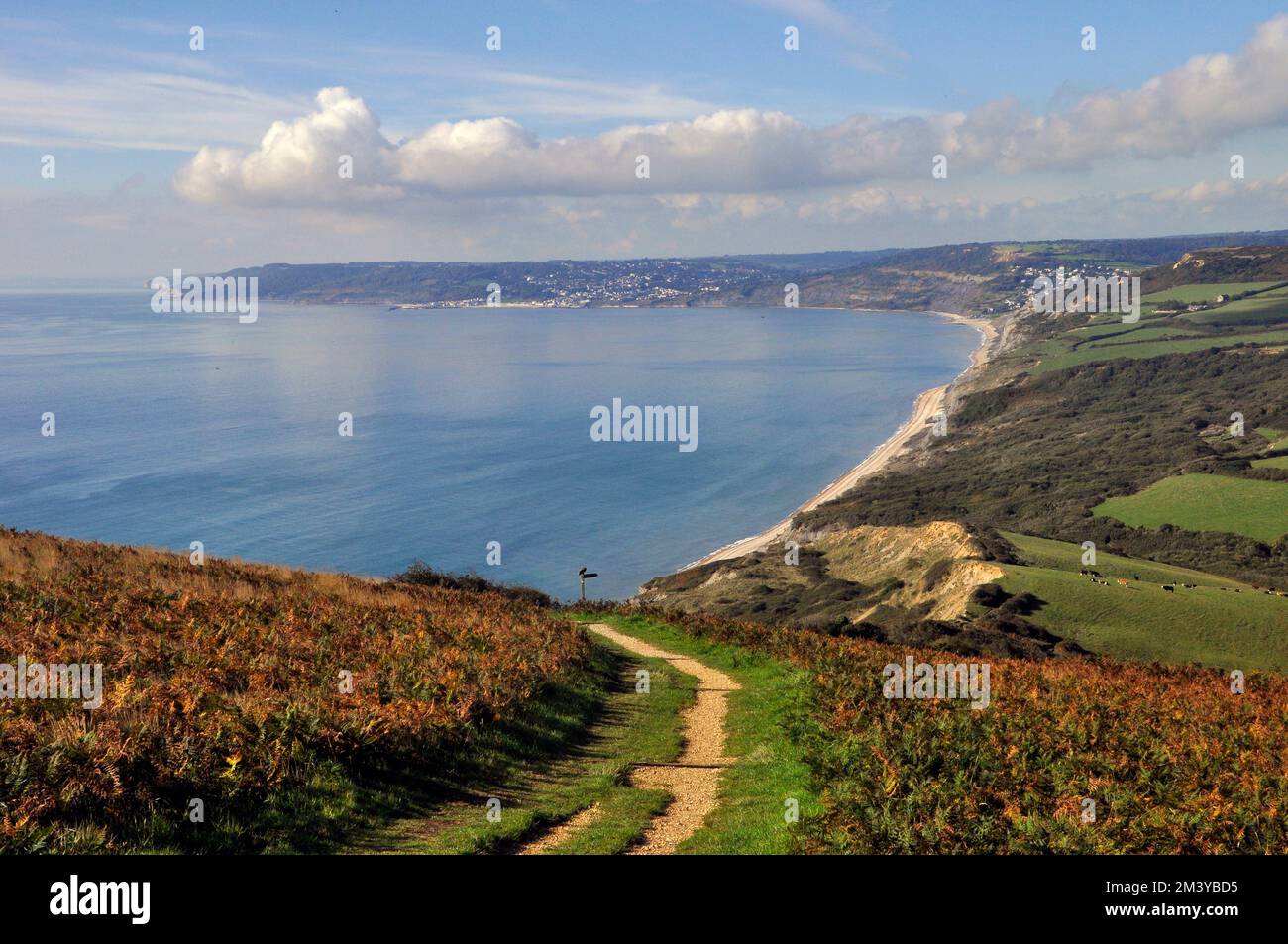 Une vue d'automne lointaine de Lyme Regis sur la côte de Dorset à ...
