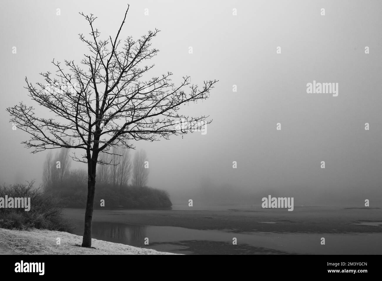 Brouillard sur le lac Banque D'Images