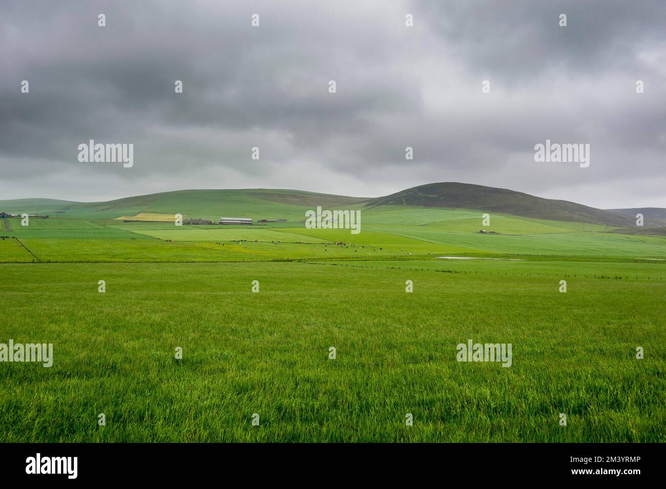 Green field, Kirwall, Orcades, Royaume-Uni Banque D'Images