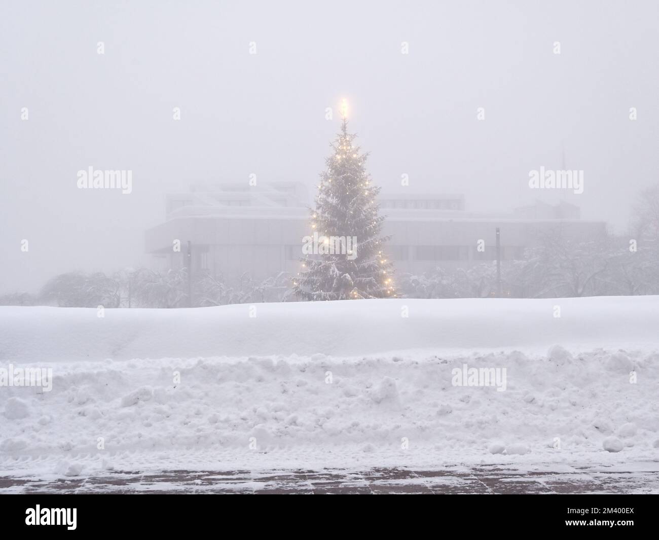 Arbre de noël lors d'une journée de brouillard dans une petite ville finlandaise, Hyvinkää, Finlande Banque D'Images