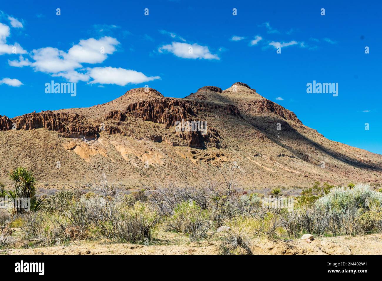 Mojave National Preserve en hiver, Californie, Etats-Unis Banque D'Images