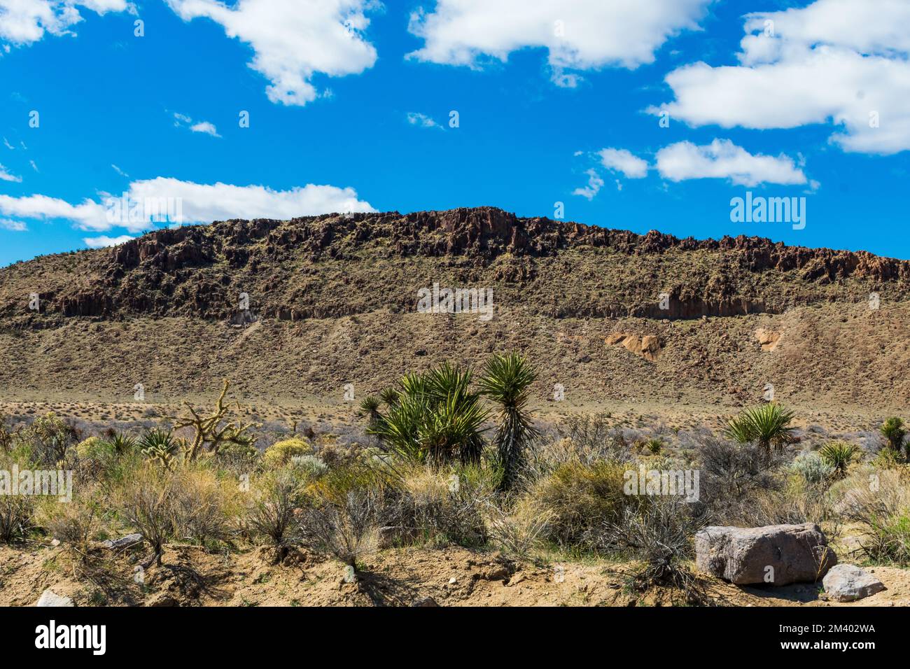 Mojave National Preserve en hiver, Californie, Etats-Unis Banque D'Images