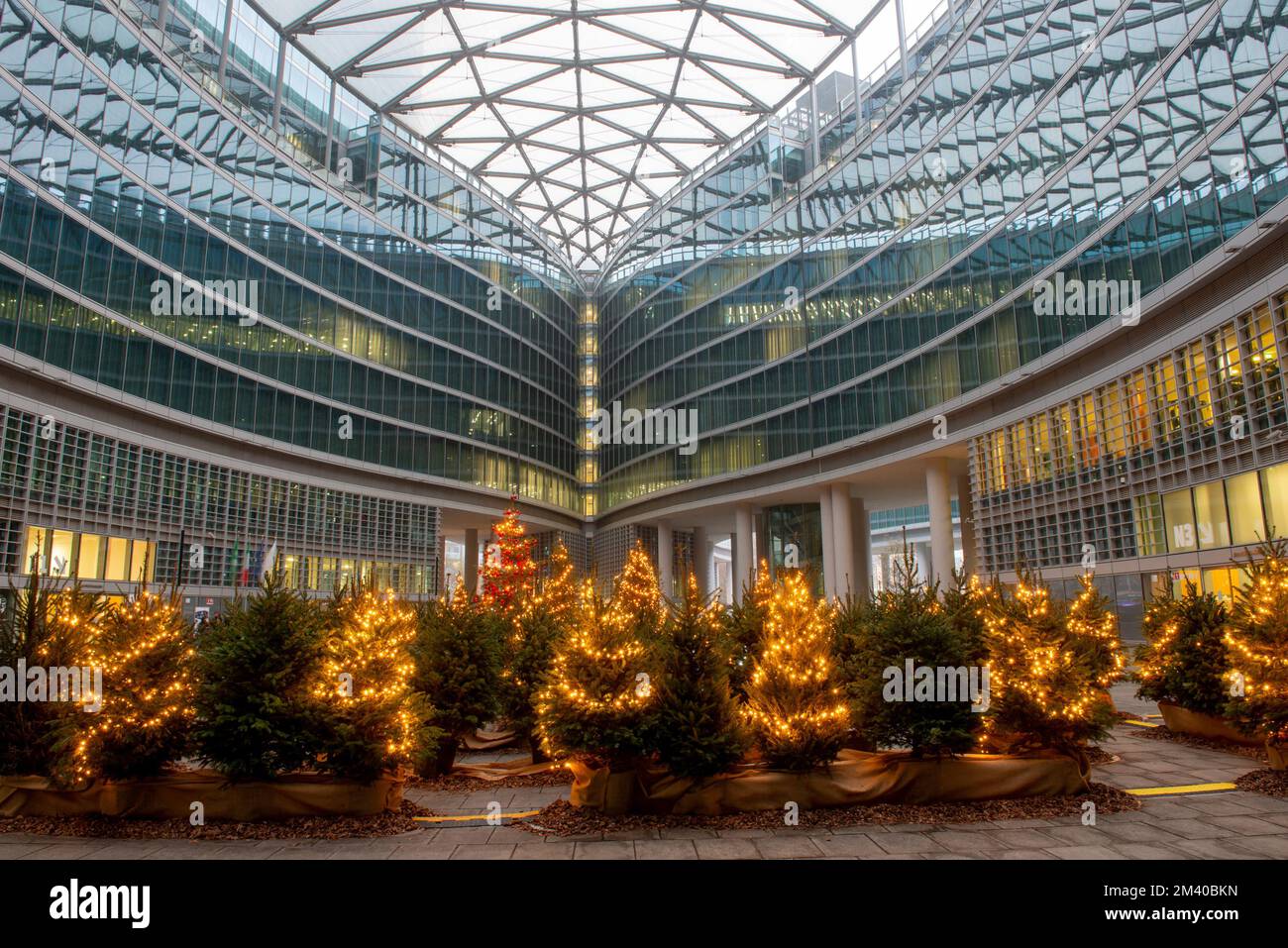 Milan Italie 17 décembre 2022 : arbres de Noël illuminés sur la place intérieure du palais de Lombardie Banque D'Images