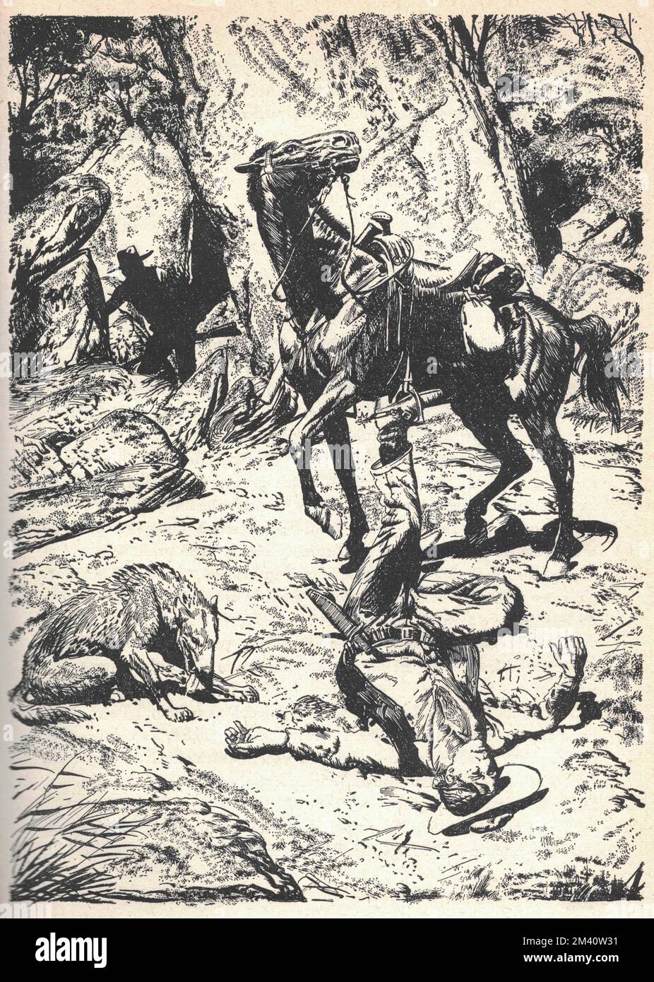 Homme couché sur le sol après être tombé d'un cheval. Ancienne illustration en noir et blanc. Dessin vintage. Illustration par Zdenek Burian. Zdenek Michael Frantisek Burian (11 février 1905 à Koprivnice, Moravie, Autriche-Hongrie 1 juillet 1981 à Prague, Tchécoslovaquie) est un peintre, illustrateur de livres et paléoartiste tchèque dont les travaux ont joué un rôle central dans le développement de la reconstruction paléontologique. À l'origine reconnue uniquement en Tchécoslovaquie natale, la renommée de Burian s'est par la suite étendue à un public international au cours d'une carrière remarquable s'étendant sur six décennies (1930s à 1980s). Il est considéré Banque D'Images