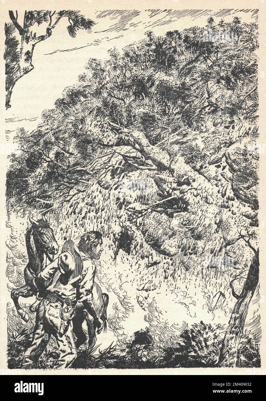 Un cowboy dans l'ouest sauvage. Un cowboy sur le bord d'un ravin. Ancienne illustration en noir et blanc. Dessin vintage. Illustration par Zdenek Burian. Zdenek Michael Frantisek Burian (11 février 1905 à Koprivnice, Moravie, Autriche-Hongrie 1 juillet 1981 à Prague, Tchécoslovaquie) est un peintre, illustrateur de livres et paléoartiste tchèque dont les travaux ont joué un rôle central dans le développement de la reconstruction paléontologique. À l'origine reconnue uniquement en Tchécoslovaquie natale, la renommée de Burian s'est par la suite étendue à un public international au cours d'une carrière remarquable s'étendant sur six décennies (1930s à 1980s). Il l'est Banque D'Images