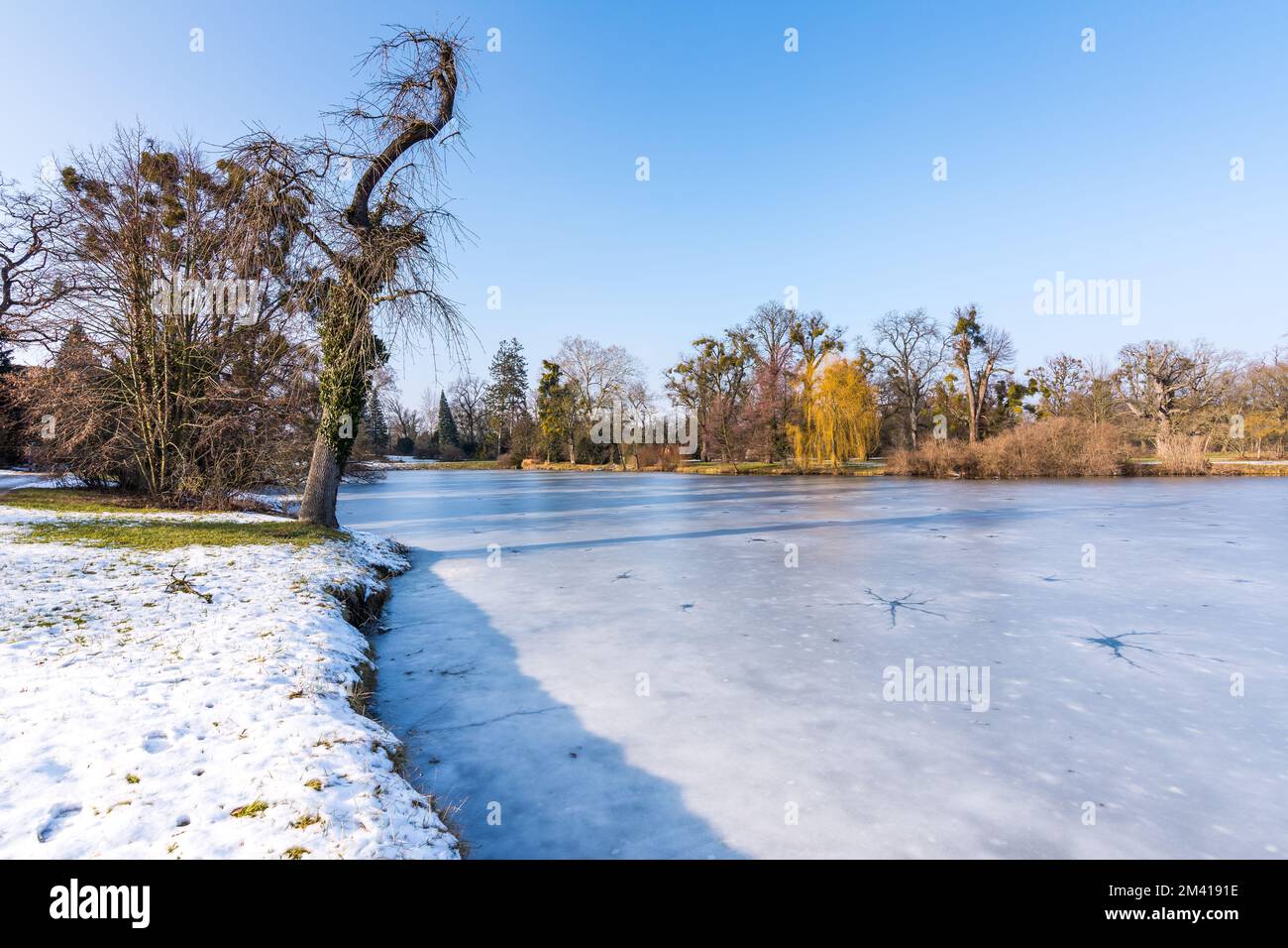 Paysage de neige en hiver, lac gelé, arbres près de l'eau. Banque D'Images
