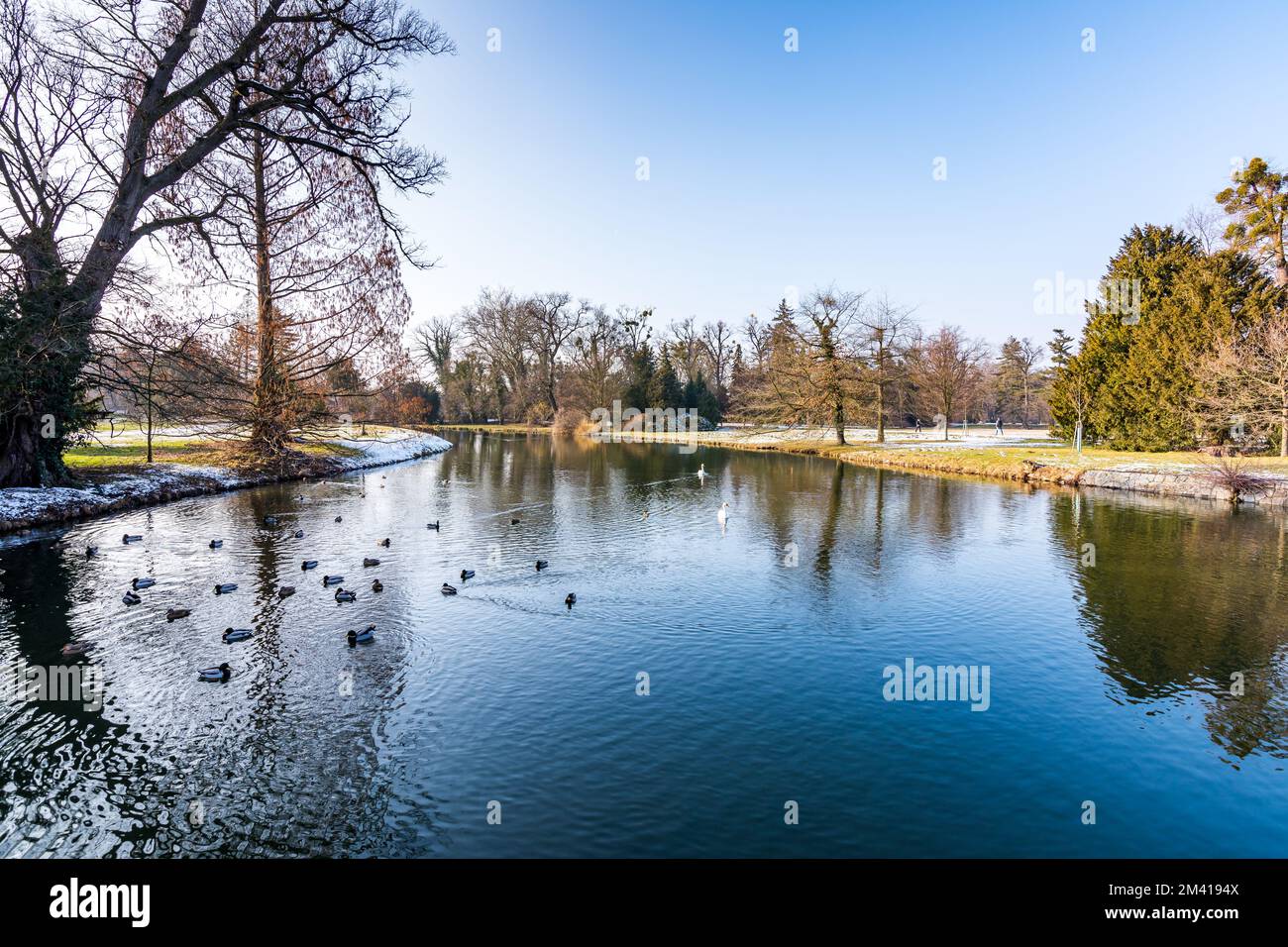 Petit lac en hiver et neige. Arbres près de l'eau Banque D'Images