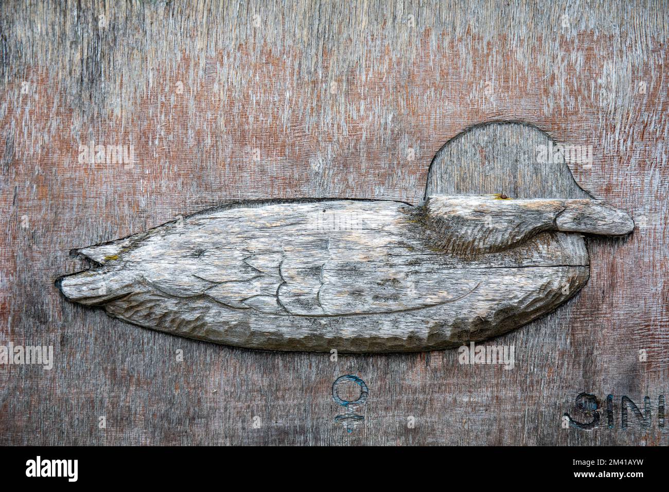 Canard sauvage en bois cassé et abîmé ou callard en relief à Helsinki, en Finlande Banque D'Images