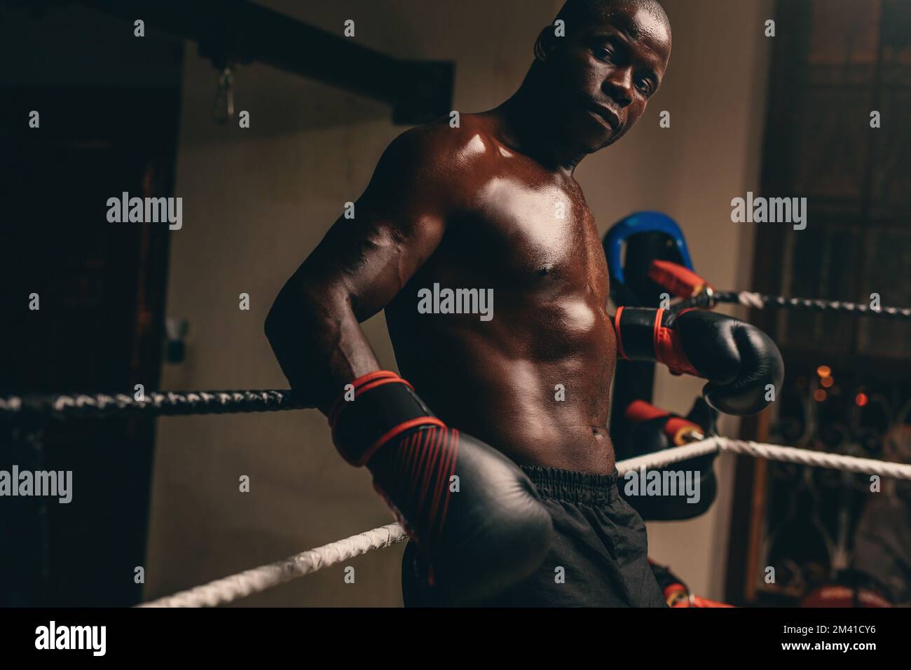 Un boxeur masculin en sueur regardant l'appareil photo tout en se reposant dans son coin de l'anneau de boxe. Jeune homme sportif ayant une séance d'entraînement dans un gymnase de boxe. Banque D'Images