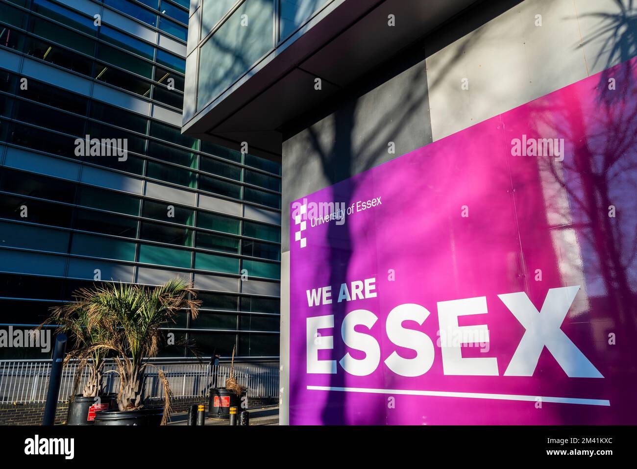 L'Université d'Essex à Southend sur la mer, Essex, Royaume-Uni. Nous sommes le panneau Essex à l'extérieur du bâtiment de l'université de South Essex College Banque D'Images