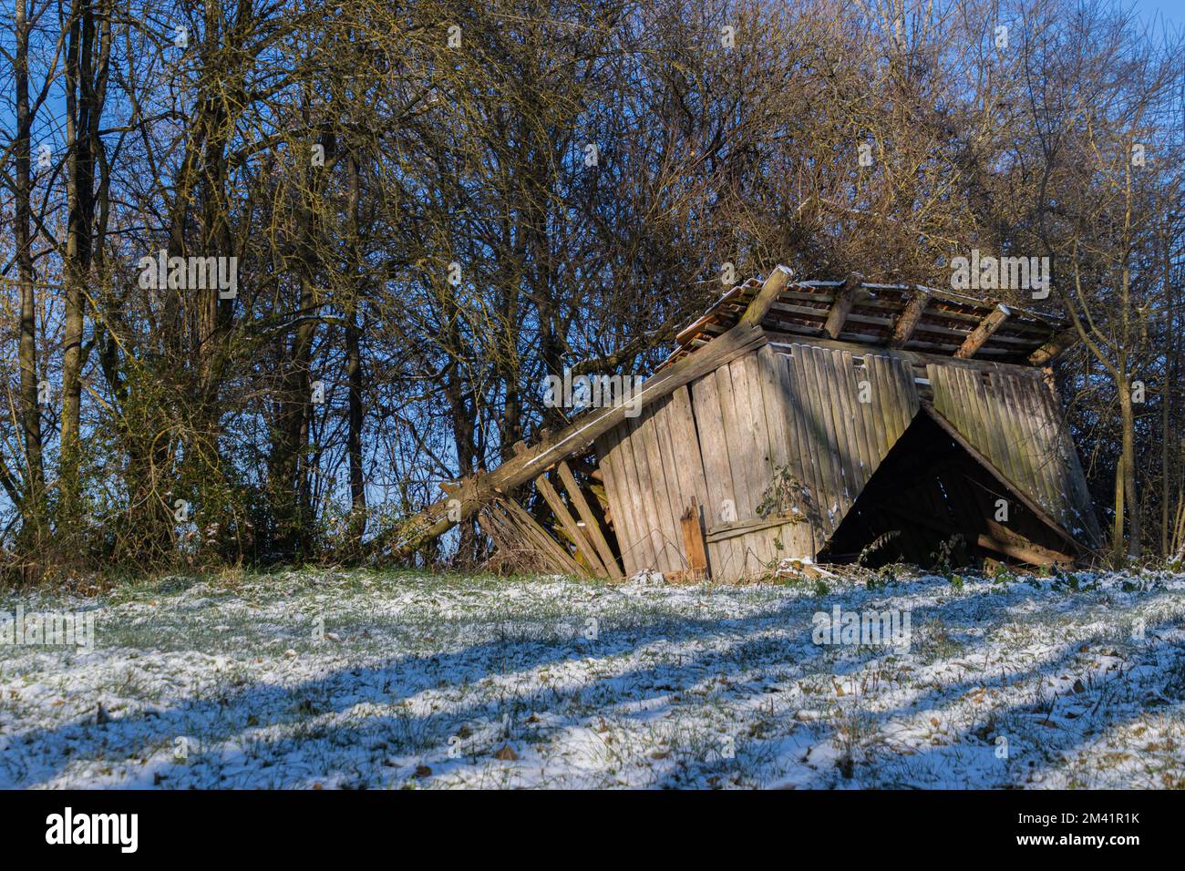 S'est effondré en hiver avec des arbres en arrière-plan Banque D'Images