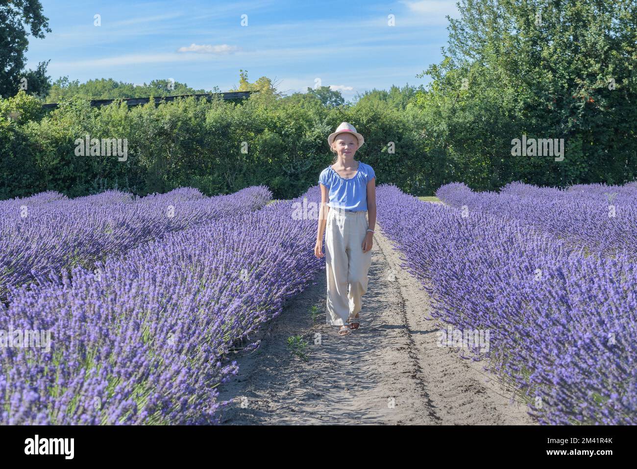 Jeune fille de l'adolescence dans le chapeau sur le champ de lavande. Bonne insouciante femme avec de longs cheveux sains Banque D'Images