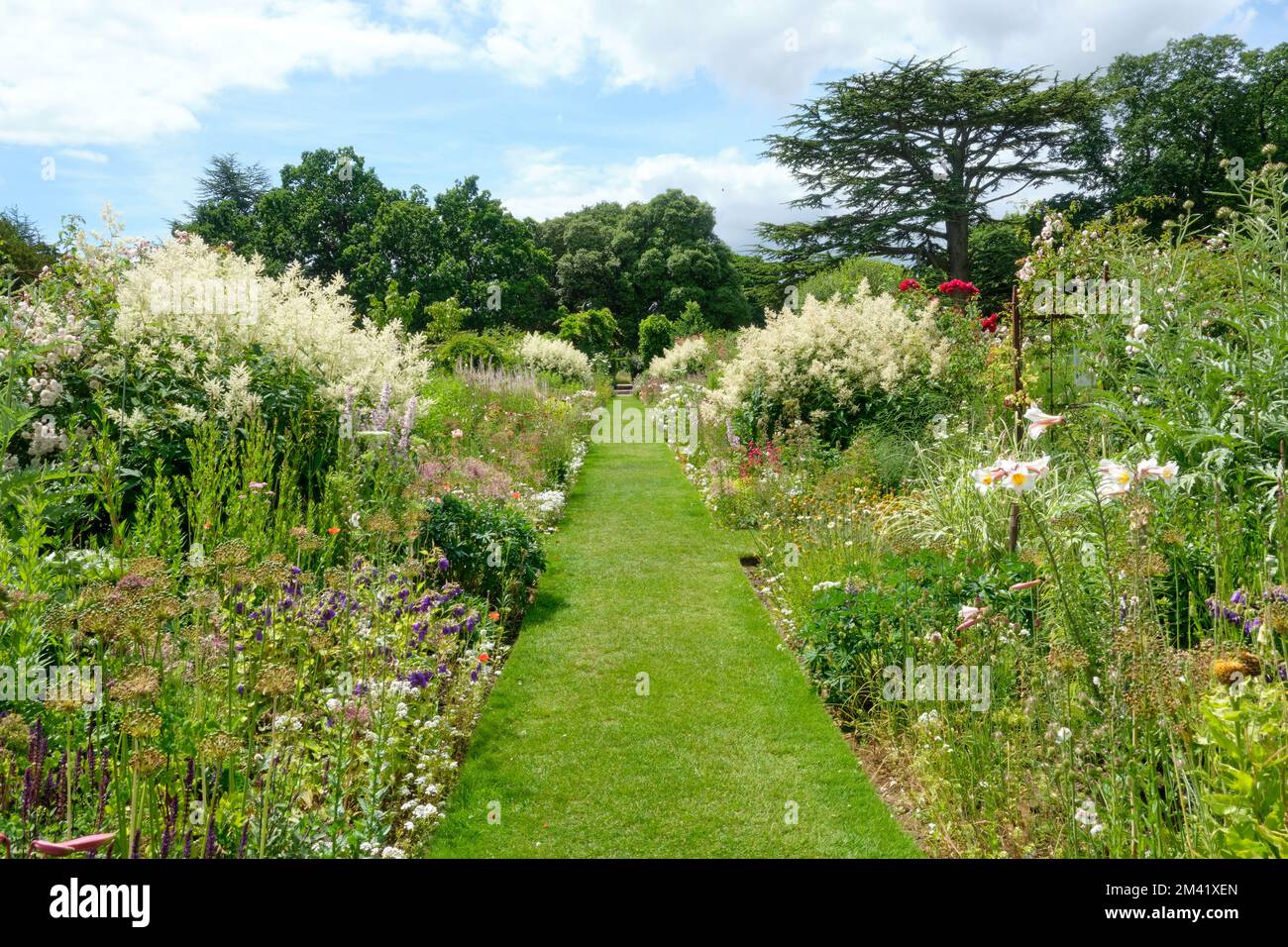 Paysage d'été vue sur les frontières herbacées dans le Helmingham Hall et les jardins du Suffolk Banque D'Images
